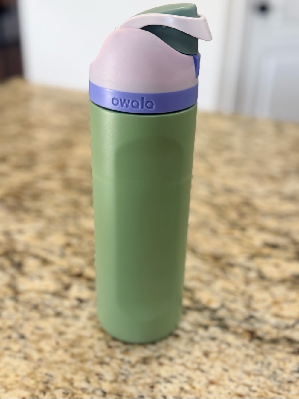 Owala Stainless Bottle in Sage Green with Lavender and Pink Lid